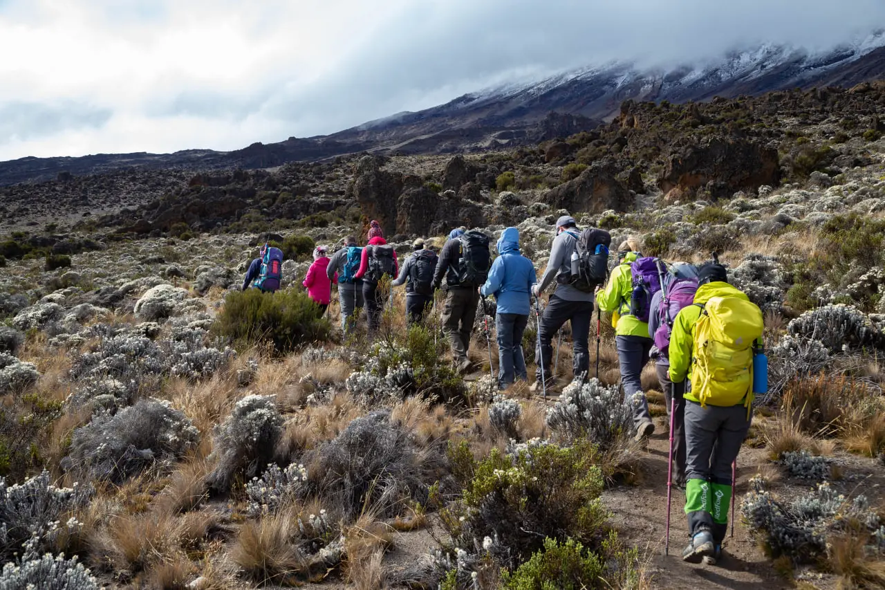 A group on the Northern Circuit route. Kilimanjaro Travel expedition